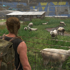 ШАУРМЕЧНАЯ ОБЩИНА - пробежка  (1)