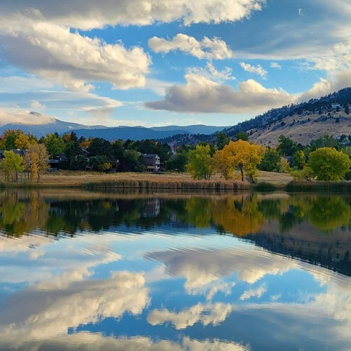 Reflections