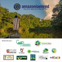 Programa radial AMAZONÍA EN RED. Edición: 16/11/23