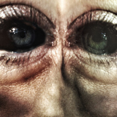 Cadaverial Face Implant (instrumental)