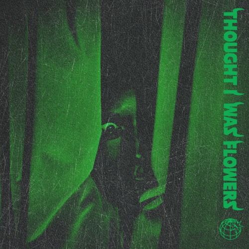 Thought I Was Flowers