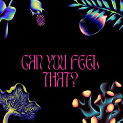 Can You Feel That?