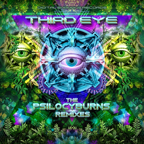Vs Zzbing - Ilogical Visions (Psilocyburns Remix)