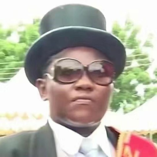 给吴玄毅抬棺特别版subtronics ID