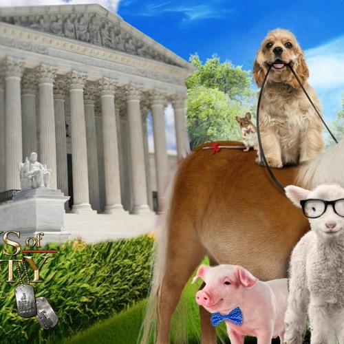 The Supreme Court's Dog & Pony Show