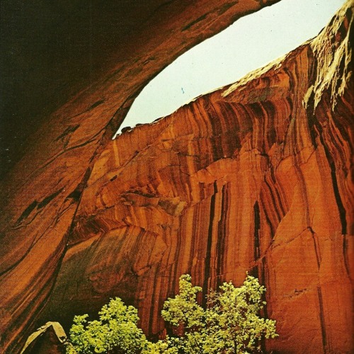 chasm