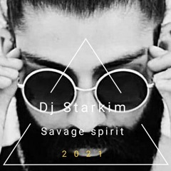 Dj Starkim - savage spirit.mp3