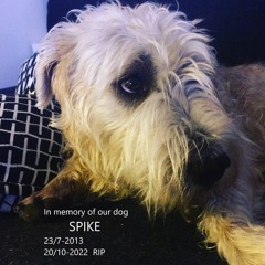 In memory (by Robban B)