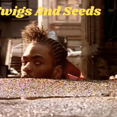 Twigs And Seeds / LD420