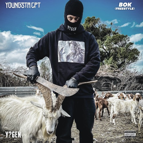 BOK Freestyle