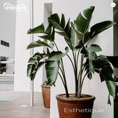 Esthetique - Spbpassion series 117