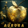 下载视频: Aurora