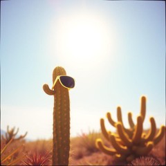 Arizona