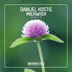 Danijel Kostic & Milkwish - Maya