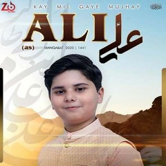Ali (a.s) Say Puch Te Hain  --  Zain Ali Zaidi  -  13 Rajab Wiladat Imam Ali (a.s)  -  2021