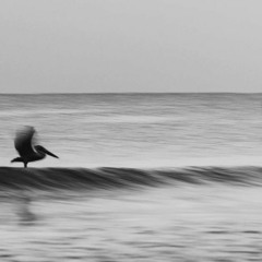 Eye Opener (Free download)