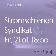[sic]nal / Jan 21 / Stromschienen Syndikat