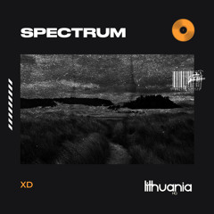Spectrum (Say My Name)