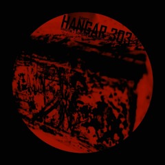 Danitz - Hangar 303 (Shadym Remix)