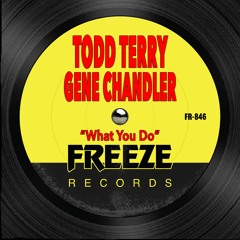 Todd Terry & Gene Chandler - What You Do (Edit) [Freeze Records]