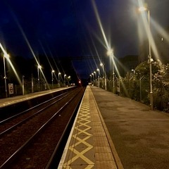 marigolds- amanda allen