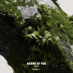 SPLSH  - Shape of You [Cover Of Ed Sheeran]