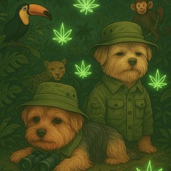 🍃🎧🐯