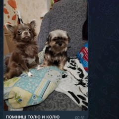 Ещё по одной