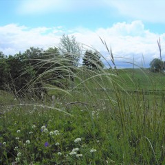 Flauti (2020)>to Agneta Plengiér Gaál