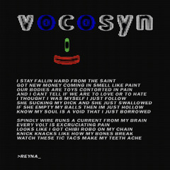 REYNA - vocosyn.flac