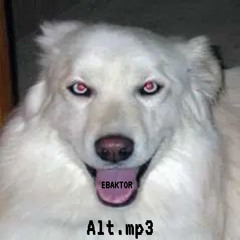 Когда плачут цикады
