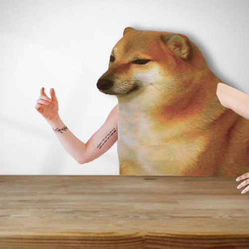 f̶̧̬ͣ𝘂̶͙ͩ𝑐̴̫̎𝒌̝̃́ ̼ͬ͝𝖉̵͖͐ᖇ͔̃͘ḁ͖ͦ̎͢k̸̨̟̅ę̥̻ͦ̂