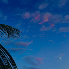 Fongumw kawet mi kèmwèjunô