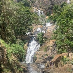 Part 8 - Ella to Weligama (via Aragum bay) 17.04.24