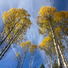 Sun & Moon Festival 2025 Mix