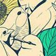 Don't Push (MPCBB318).mp3