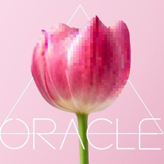 Oracle 14