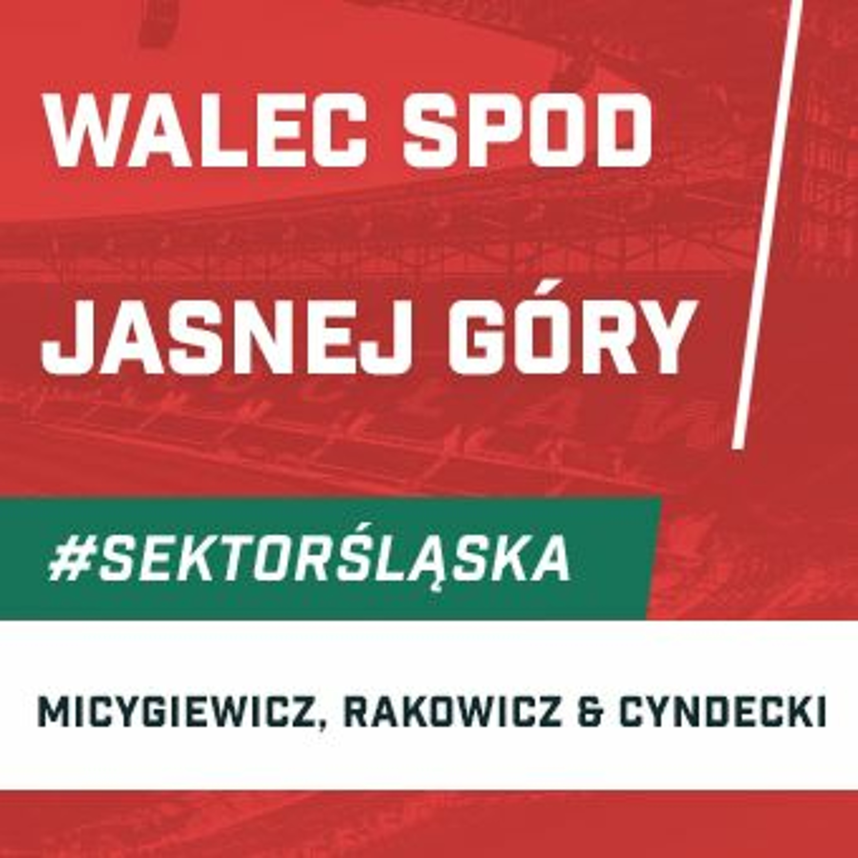 Śląsknet