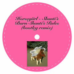 Shanti's Barn Shanti's Rules - Bootleg Remix