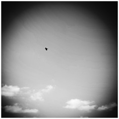 Improvisation_071125_Quiet