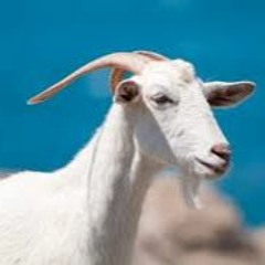 HK_Funky-Dub-Trap_tracks_28