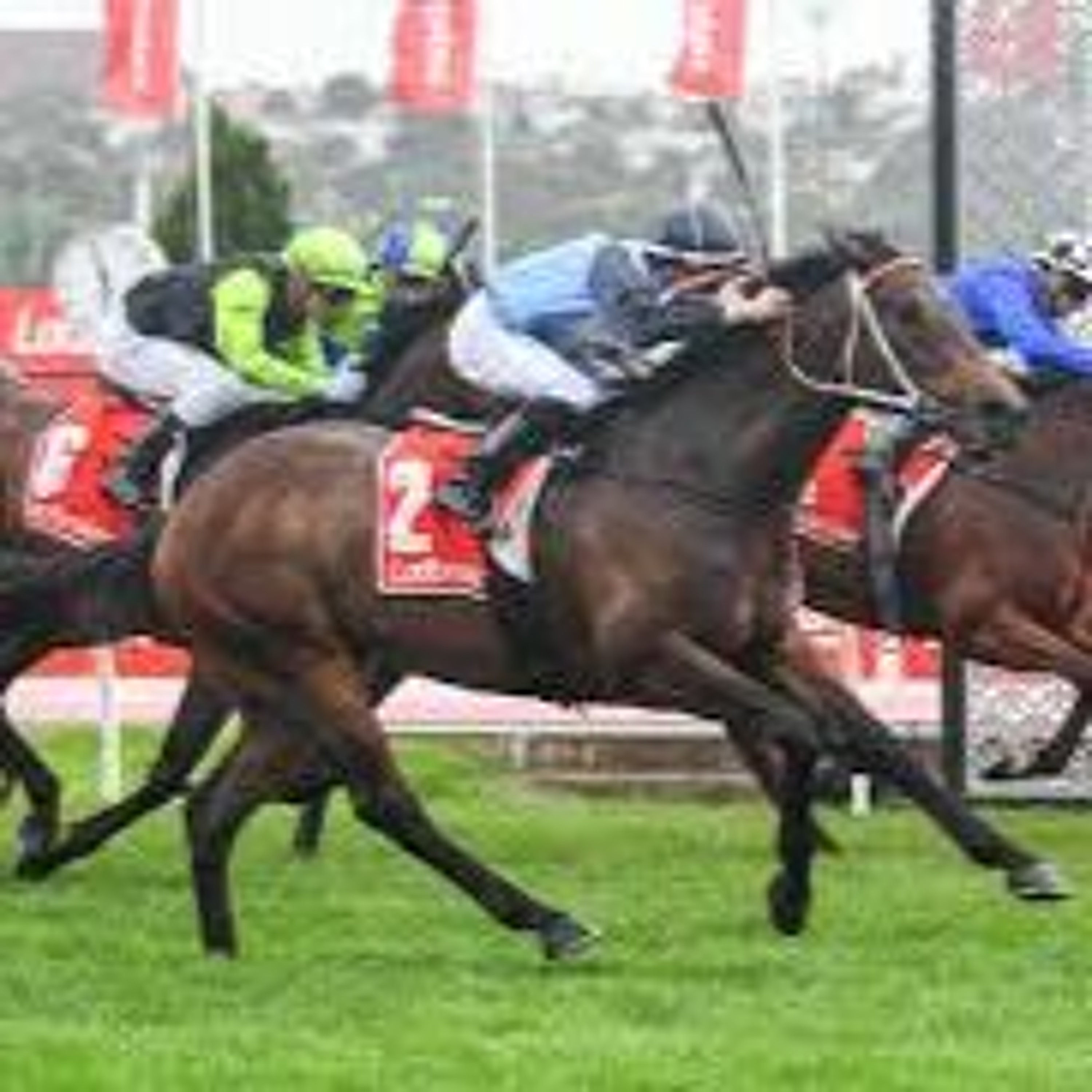 Flemington 12th of December Punting Preview