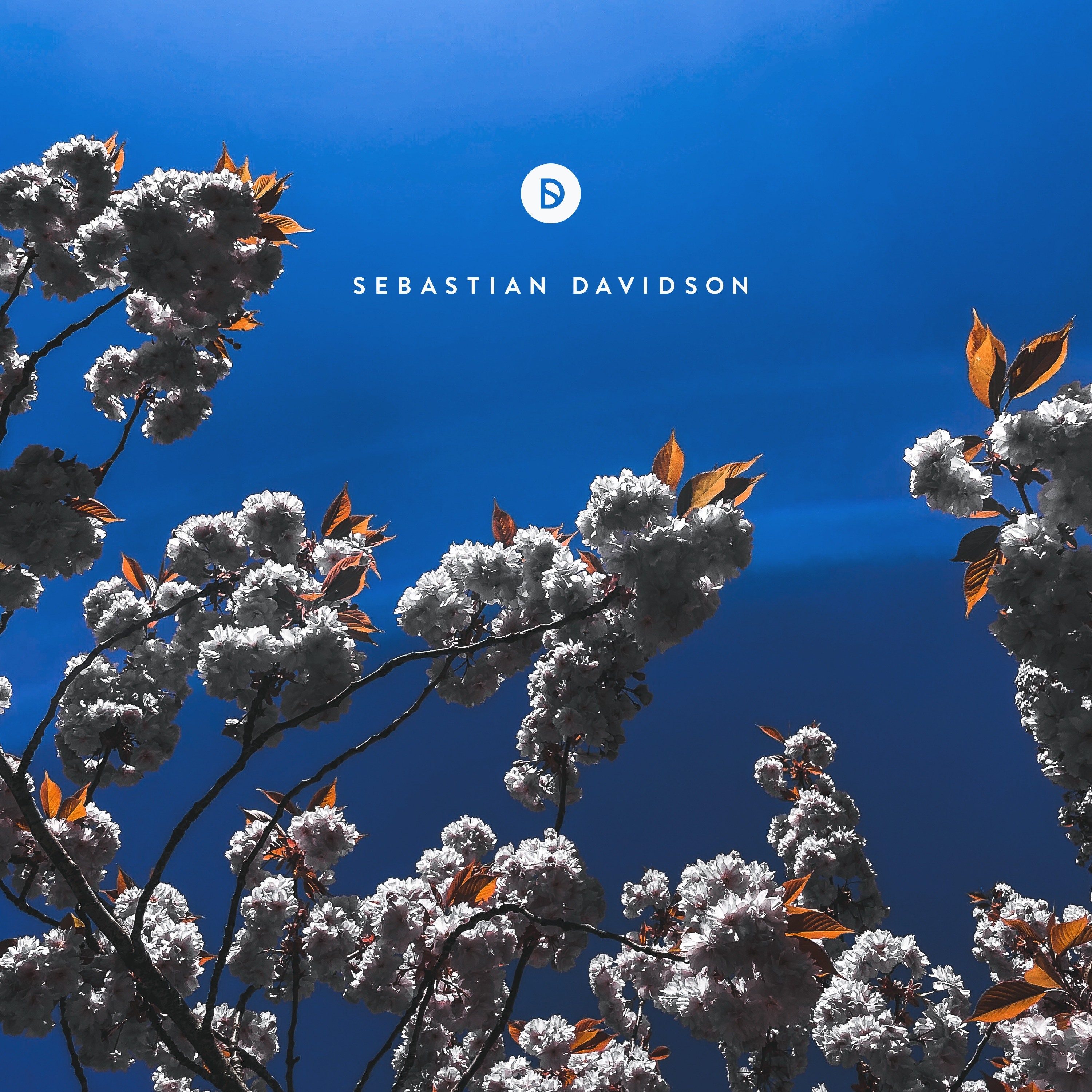 Voyage of Discovery by Sebastian Davidson