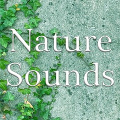 Extra Quality Nature Sounds(8tracks + 11SE)