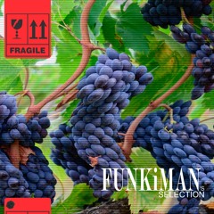 FUNKiMAN's SELECTION 0123 - Kassko Guest Mix