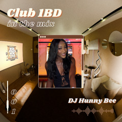 DJ Hunny Bee - Club 1BD Live Set @ Webster Hall - 001