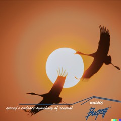 Spring's Embrace: Symphony of Renewal (mastering & downloading)