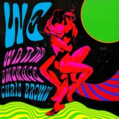 Chris Brown - WE ( Warm Embrace) [ Slowed & Reverb ]