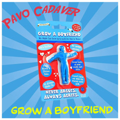 Grow A Boyfriend