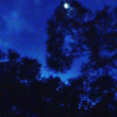 moonlit mirage (prod.hypnotic)